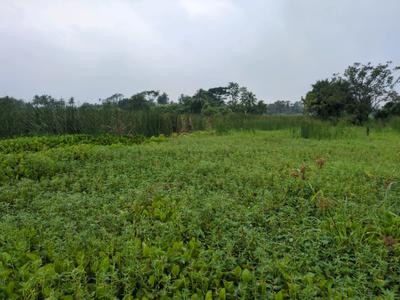 Sonargaon 2 Plot View 2