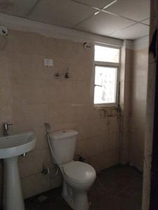 Common Bathroom Image of 1230 Sq.ft 2.5 BHK Apartment / Flat for sale in Amrapali Verona Heights, Noida Extension Greater Noida for Rs. 8985000