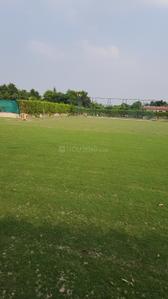 Image of 9072 Sq.ft Residential Plot / Land for sale in Dkrrish Green Beauty Farms, Sector 135, Noida for Rs. 8000000