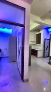 Hall Image of 1000 Sq.ft 2 BHK Apartment / Flat for rent in Heerapura Jaipur for Rs. 19800