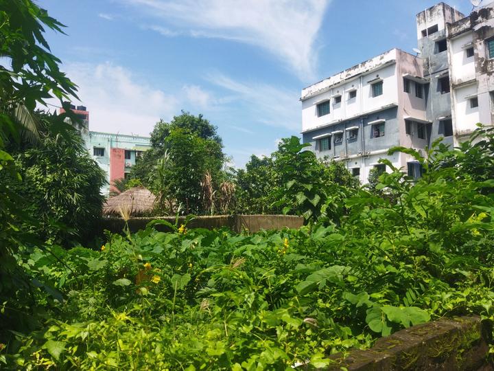 Nayabad Main Image 1