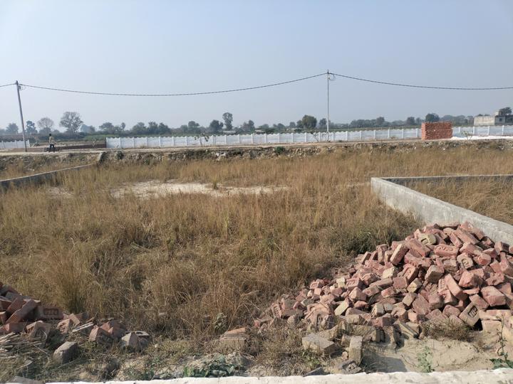 Golden city Main Image 1