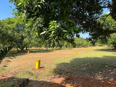 Image of 1800 Sq.ft Residential Plot / Land for sale in Bondapalli, Vizianagaram for Rs. 919800