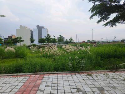 Image of 147 Sq.ft Residential Plot / Land for sale in Skywhales Vienna Greens II, Sector 99A, Gurgaon for Rs. 26690000