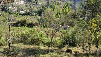 Image of 2178 Sq.ft Residential Plot / Land for sale in Jia, Kullu for Rs. 4400000