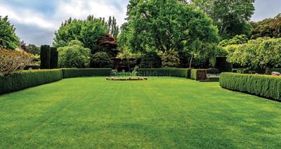 Image of 322 Sq.ft 1 BHK Apartment / Flat for sale in Dosti Nest, Thane West, Thane for Rs. 5350000
