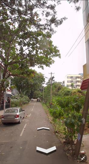 Wellington Paradise Main Image 1