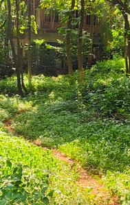 Image of 595 Sq.ft Residential Plot / Land for sale in Dabolim, Goa for Rs. 15470000