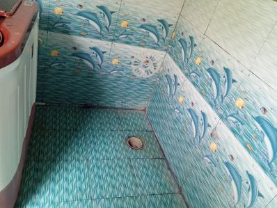 Bathroom Image of 469 Sq.ft 2 BHK Independent House for sale in Tehsil Sirsa Sirsa for Rs. 1620000
