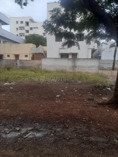 ROYAL RAJPUTANA CO Main Image 1