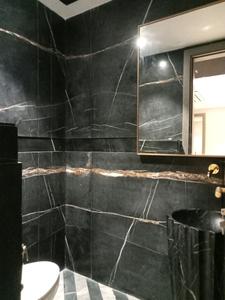 Common Bathroom Image of 3375 Sq.ft 4 BHK Builder Floor for sale in East Of Kailash New Delhi for Rs. 140000000