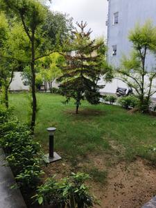 Image of 135 Sq.ft Residential Plot / Land for sale in Sector 57, Gurgaon for Rs. 45100000