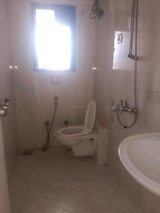 Common Bathroom Image of 1425 Sq.ft 3 BHK Apartment / Flat for sale in DB Orchid Suburbia, Kandivali West Mumbai for Rs. 37500000