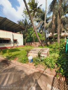 Roha Plot View 2