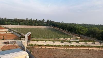 Image of 1200 Sq.ft Residential Plot / Land for sale in Srinivaspur Rural, Kolar for Rs. 2398800
