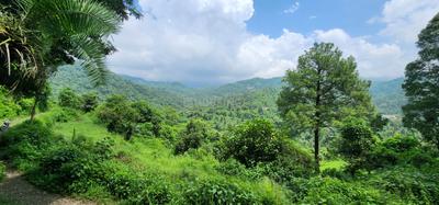 Image of 1000 Sq.ft Residential Plot / Land for sale in Morni, Panchkula for Rs. 4800000