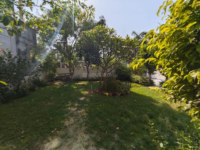 Image of 4000 Sq.ft 3 BHK Independent House for sale in Sector 71, Noida for Rs. 110000000
