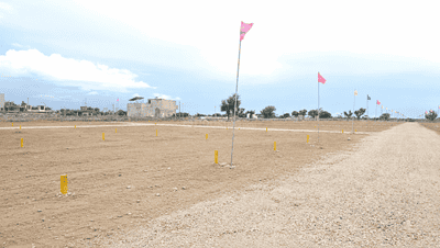 100 Sq yard plot in boraj Plot View 2