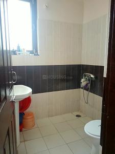 Bathroom Image of 780 Sq.ft 1 BHK Apartment / Flat for rent in SBP Homes, Sector 126 Mohali for Rs. 17000