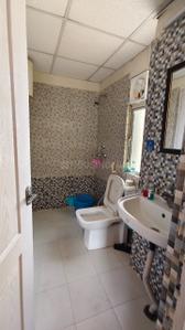Bathroom Image of 615 Sq.ft 1 BHK Apartment / Flat for rent in Maxblis Grand Kingston, Sector 75 Noida for Rs. 30000
