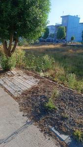 Rau Plot View 1