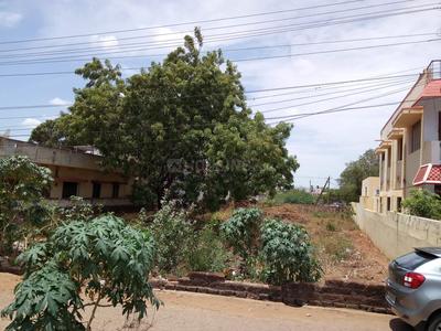 Kavali Plot View 2