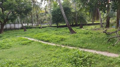 Image of 30450 Sq.ft Residential Plot / Land for sale in Guruvayur, Thrissur for Rs. 20300000