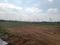 Thimmapur Plot View 2