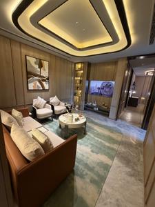Living Room Image of 6041 Sq.ft 5 BHK Apartment / Flat for sale in Mullanpur Mohali for Rs. 65000000
