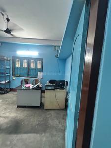 Image of 900 Sq.ft 2 BHK Independent House for rent in Champasari, Siliguri for Rs. 8000