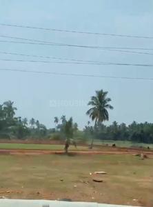 Image of 200 Sq.ft Residential Plot / Land for sale in Bhogapuram, Visakhapatnam for Rs. 5000001