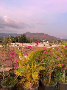 Image of 1614 Sq.ft Residential Plot / Land for sale in Riyasat Bliss, Panvel, Navi Mumbai for Rs. 11100000