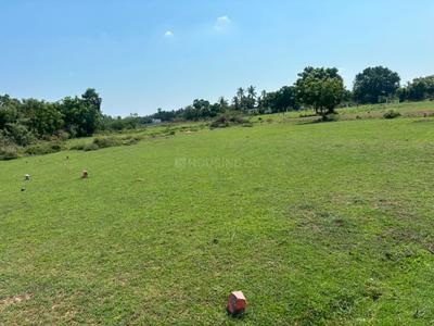 Orathur Plot View 3
