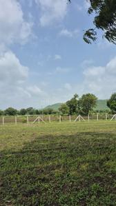Image of 5000 Sq.ft Residential Plot / Land for sale in Simrol, Indore for Rs. 1500000