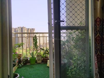 Balcony Image of 1380 Sq.ft 3 BHK Apartment / Flat for rent in Paramount Emotions, Noida Extension Greater Noida for Rs. 22000