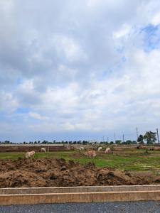 Image of 1500 Sq.ft Residential Plot / Land for sale in Ashtvinayaka Shantikunj City, Chhachhanpairi, Raipur for Rs. 2700000