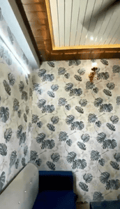 Image of 350 Sq.ft 1 BHK Apartment / Flat for sale in Jaisinghpura, Jaipur for Rs. 1321000