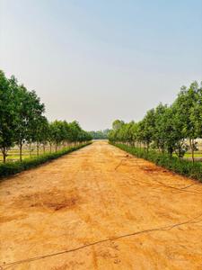 Image of 1000 Sq.ft Residential Plot / Land for sale in Mohanlalganj, Lucknow for Rs. 1199000