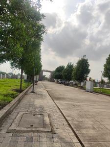Residential Plot