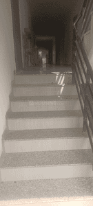 Image of 550 Sq.ft 1 BHK Apartment / Flat for sale in Highway Karuna Sagar Appartment, Kanadiya, Indore for Rs. 1400000