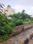 8th Phase, JP Nagar Main Image 1