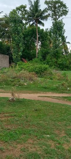 Katpadi Main Image 1