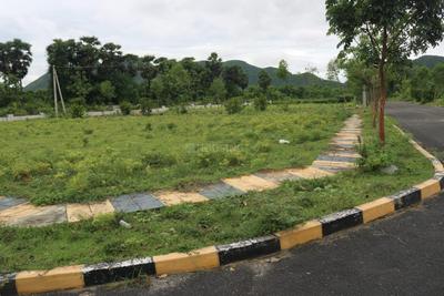 Sontyam Plot View 3