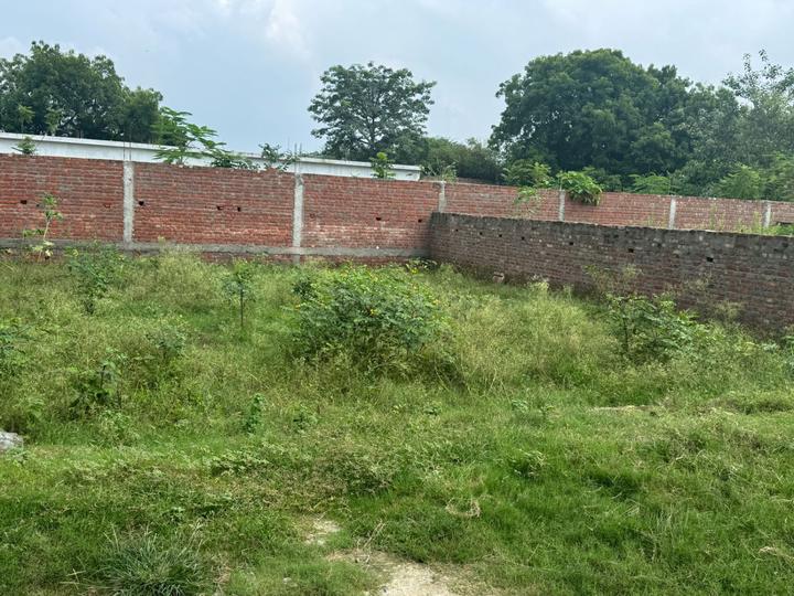 Bamrauli Katara Main Image 1