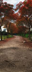 Shree Tirupati Green City Plot View 3