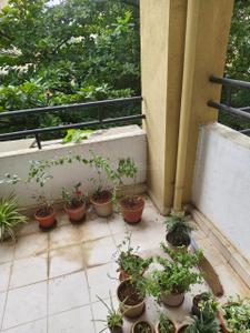 Balcony Image of 900 Sq.ft 2 BHK Apartment / Flat for rent in Suyog Saffron, Rahatani Pune for Rs. 25000