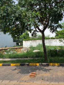 Image of 538 Sq.ft Residential Plot / Land for sale in DLF Alameda, Sector 73, Gurgaon for Rs. 156000000