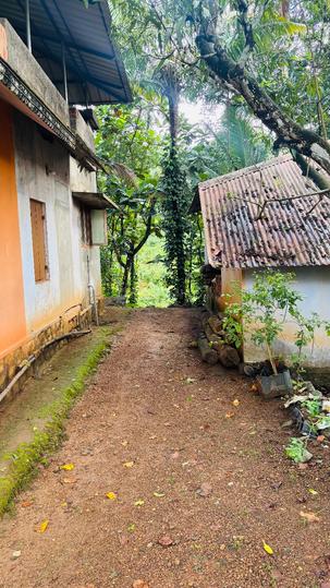 Kottarakkara Main Image 1