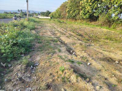 Agricultural Land