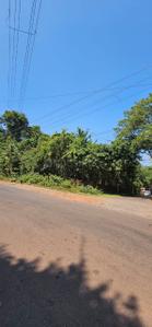 Image of 1444 Sq.ft Residential Plot / Land for sale in Assagao, Goa for Rs. 187720000